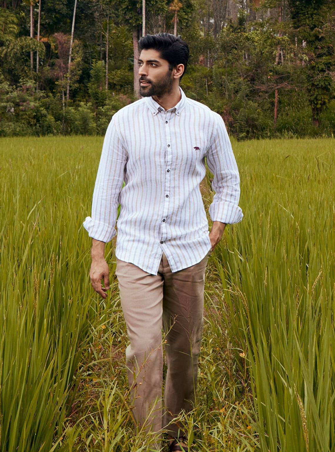 Khaki Gold Stripe Shirt